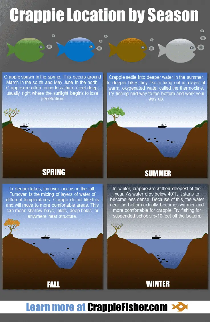 infographic of where to find crappie during spring, summer, fall, and winter