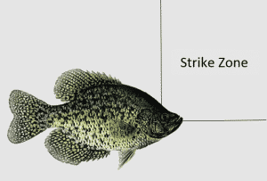 crappie 101: the crappie strikezone