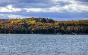 northern-wisconsin-treeline-in-the-fall