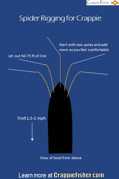 spider rig technique to use when jigging for crappie