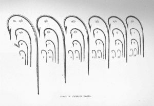 Crappie Hook Size Chart