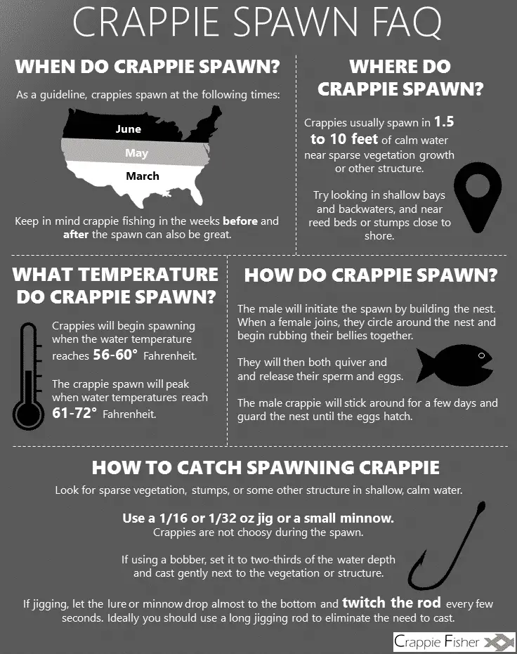 Crappie Spawn FAQ infographic