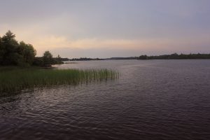 crappie spawn location