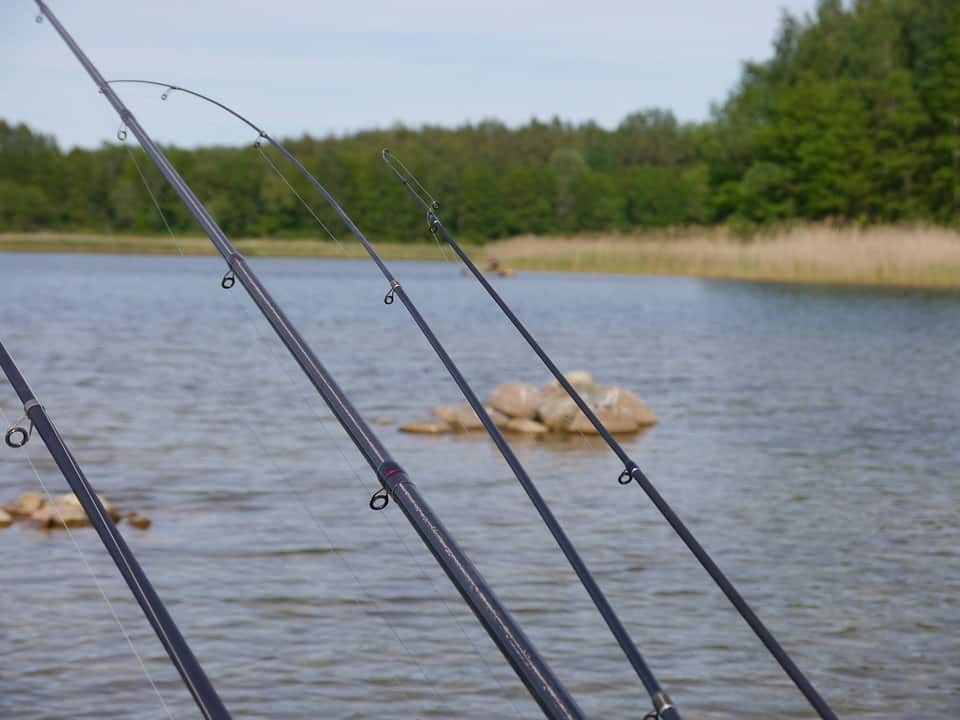 Why are crappie rods so long