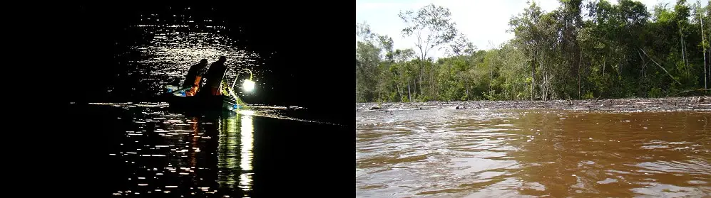 Will Crappie Bite at Night and in Muddy Water