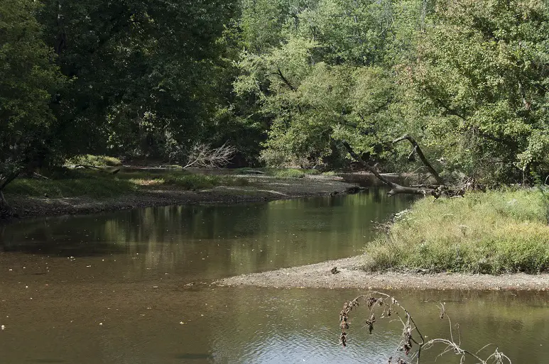 Can Crappies Be Found In Creeks