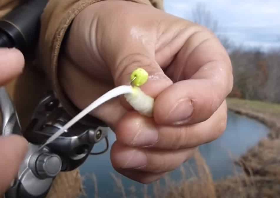 How to Use Crappie Nibbles