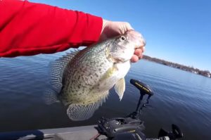 Indiana Crappie Fishing Tips (Free Guides)