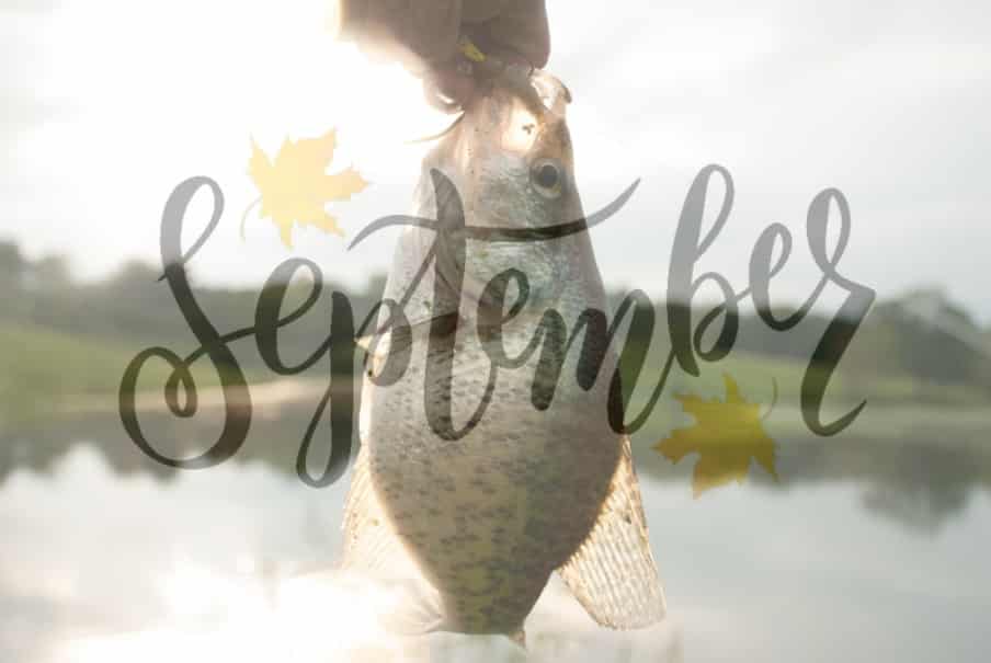 September Crappie Fishing