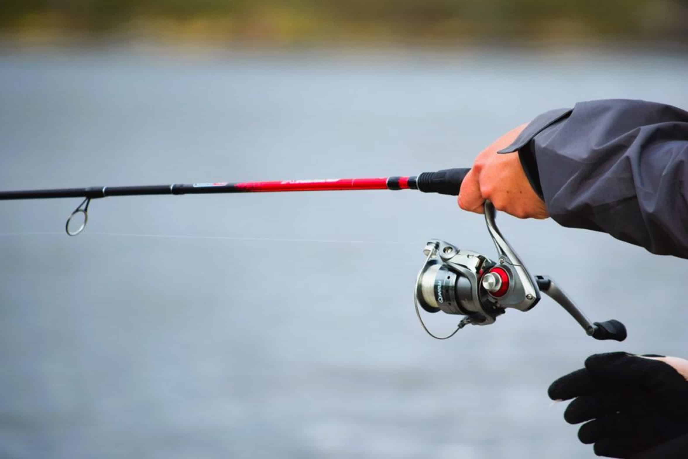 angler holding fishing rod angler holding fishing rod