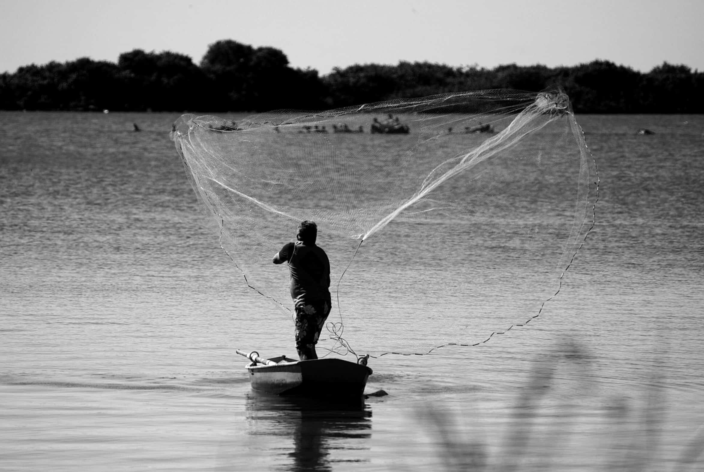 fisherman reeling line fisherman reeling line