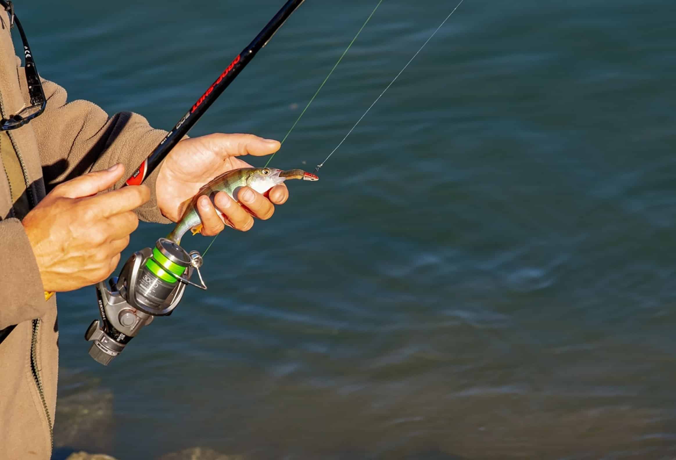 fishing hook line water fishing hook line water