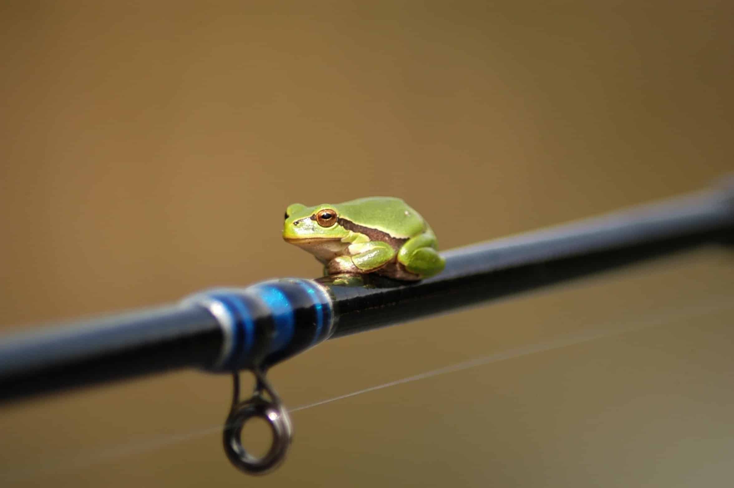 fishing rod close up fishing rod close up
