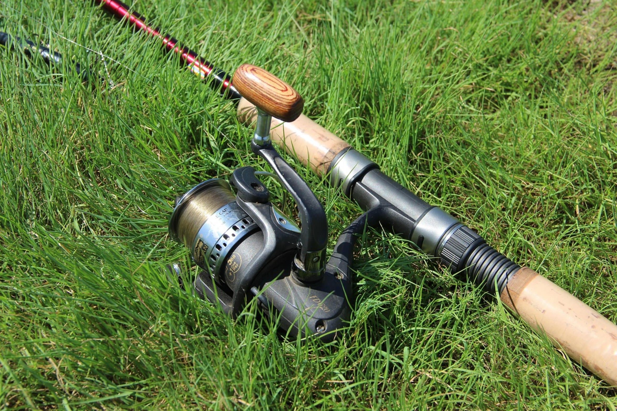 fishing tackle layout fishing tackle layout