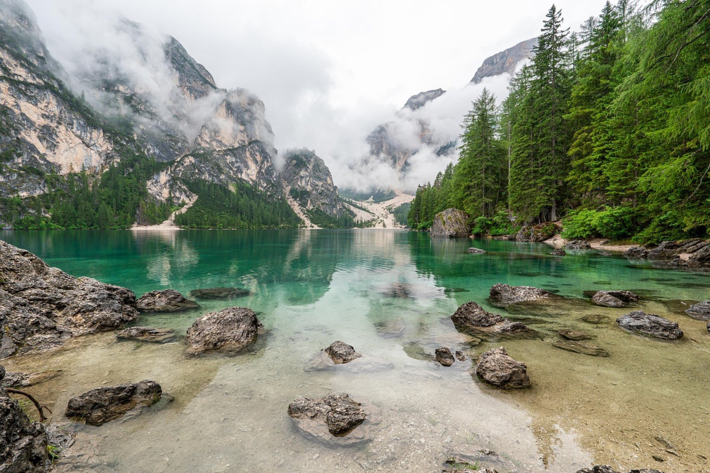 lake transition zone water lake transition zone water