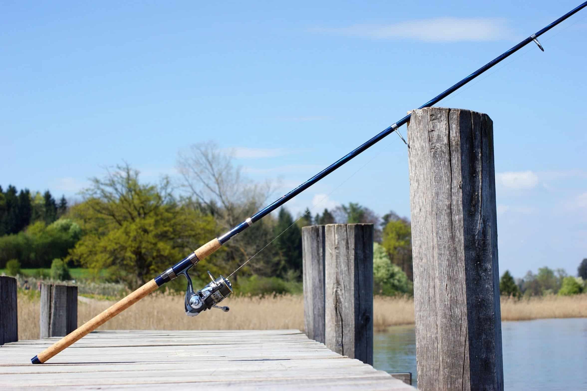 angler fishing from bank angler fishing from bank
