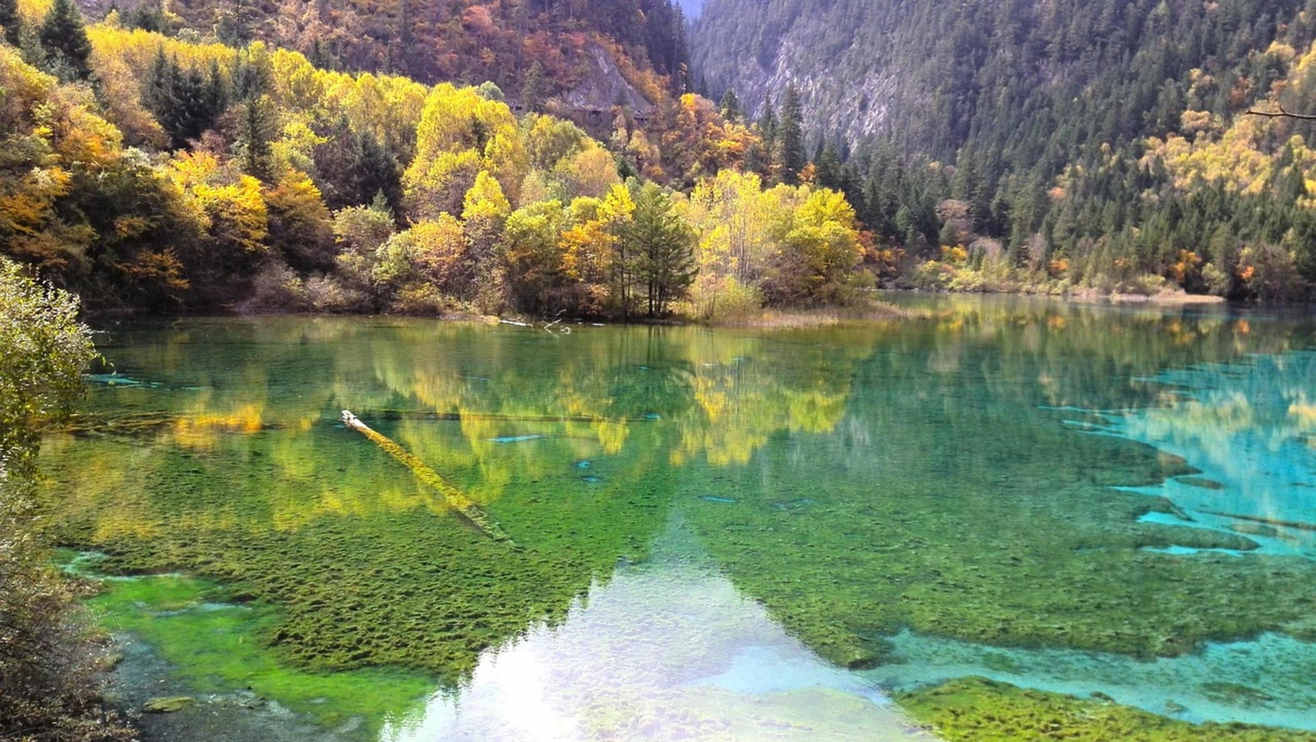clear lake water fish clear lake water fish