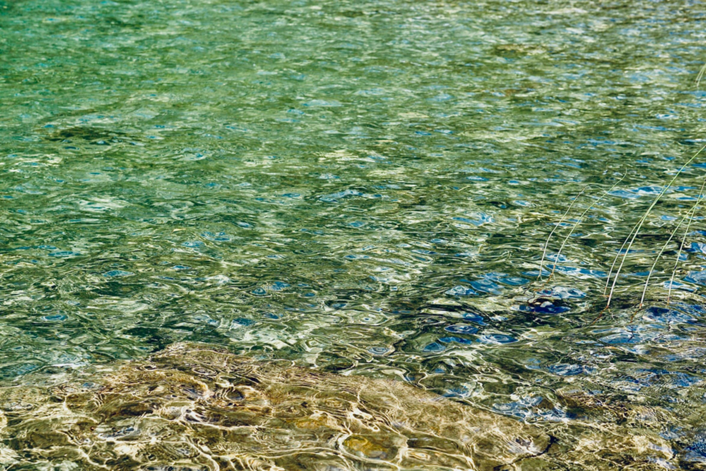 clear pond water nature clear pond water nature