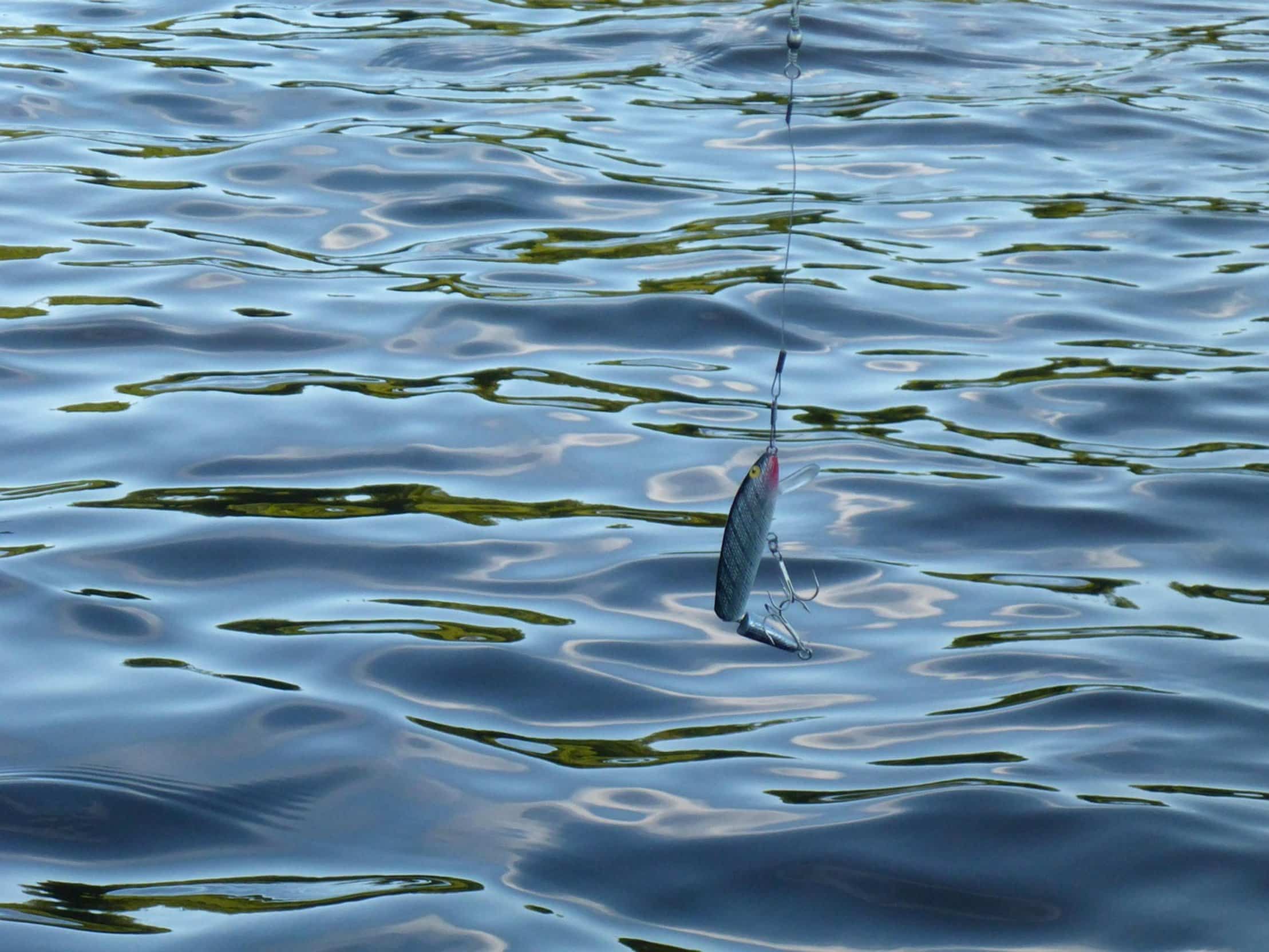 crappie fishing bait crappie fishing bait