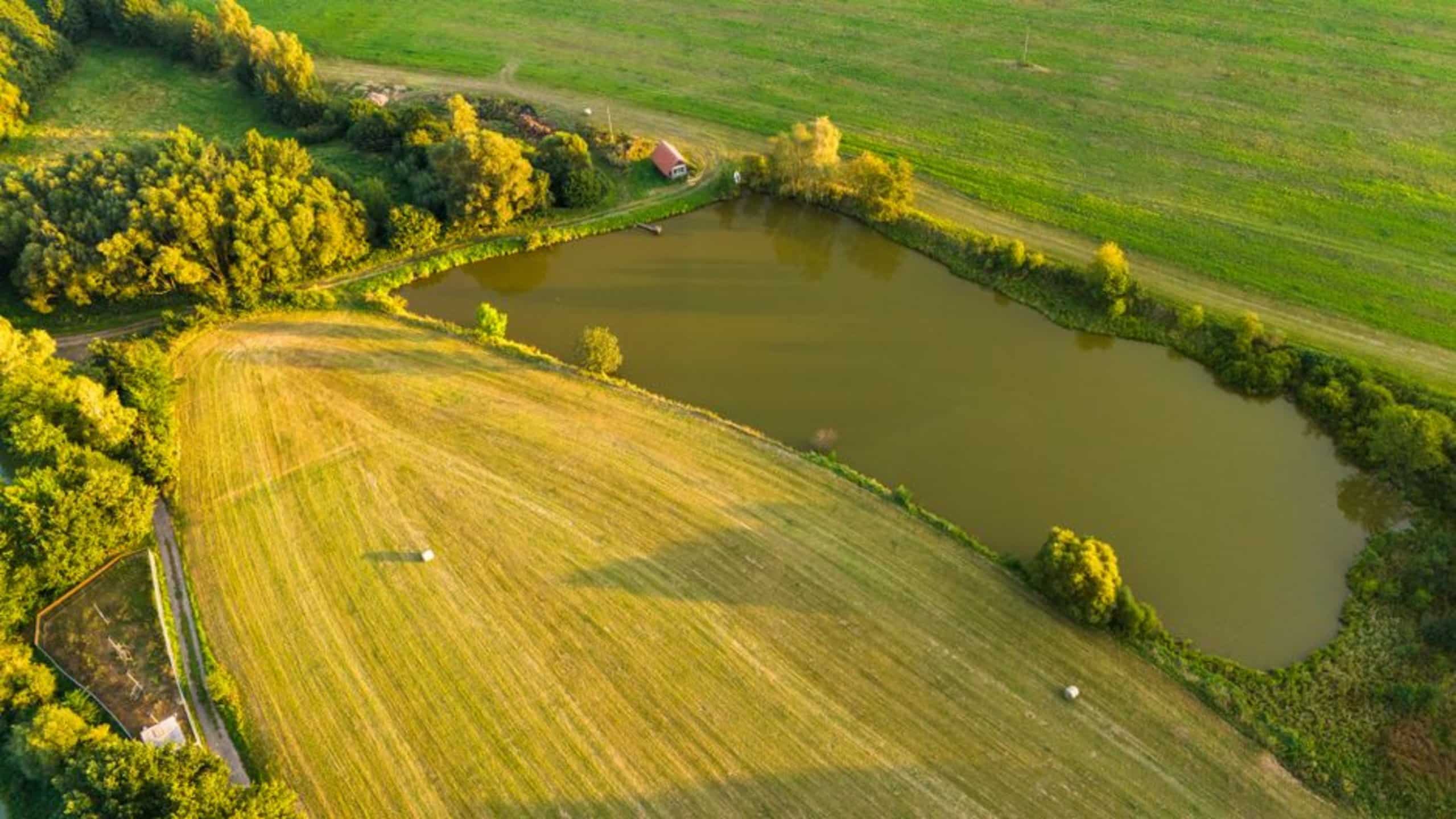 farm pond water farm pond water