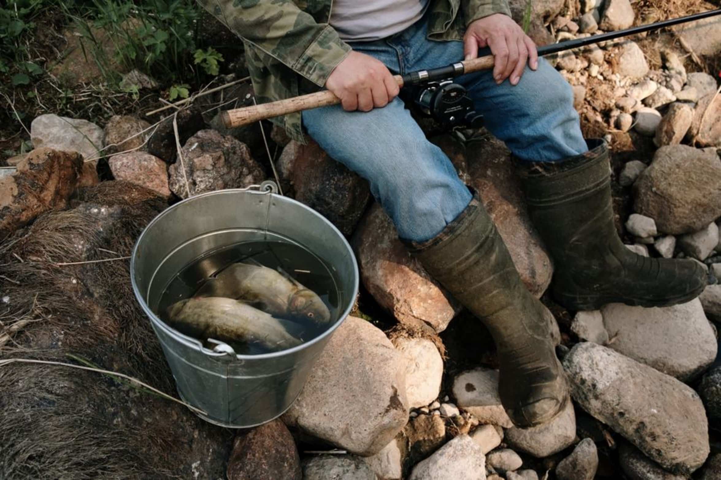 fisherman holding bluegill fisherman holding bluegill