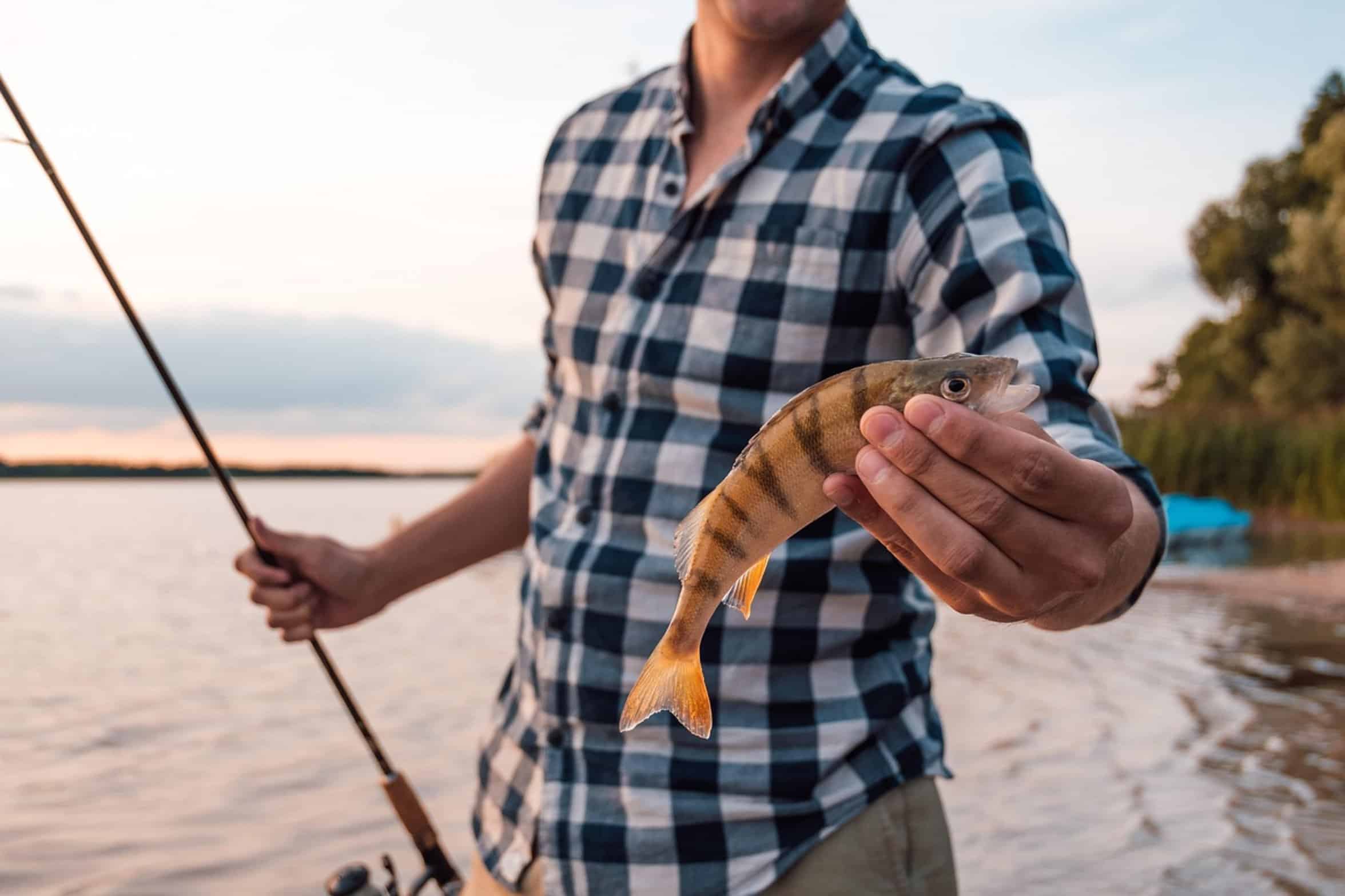 fisherman holding caught bass fisherman holding caught bass