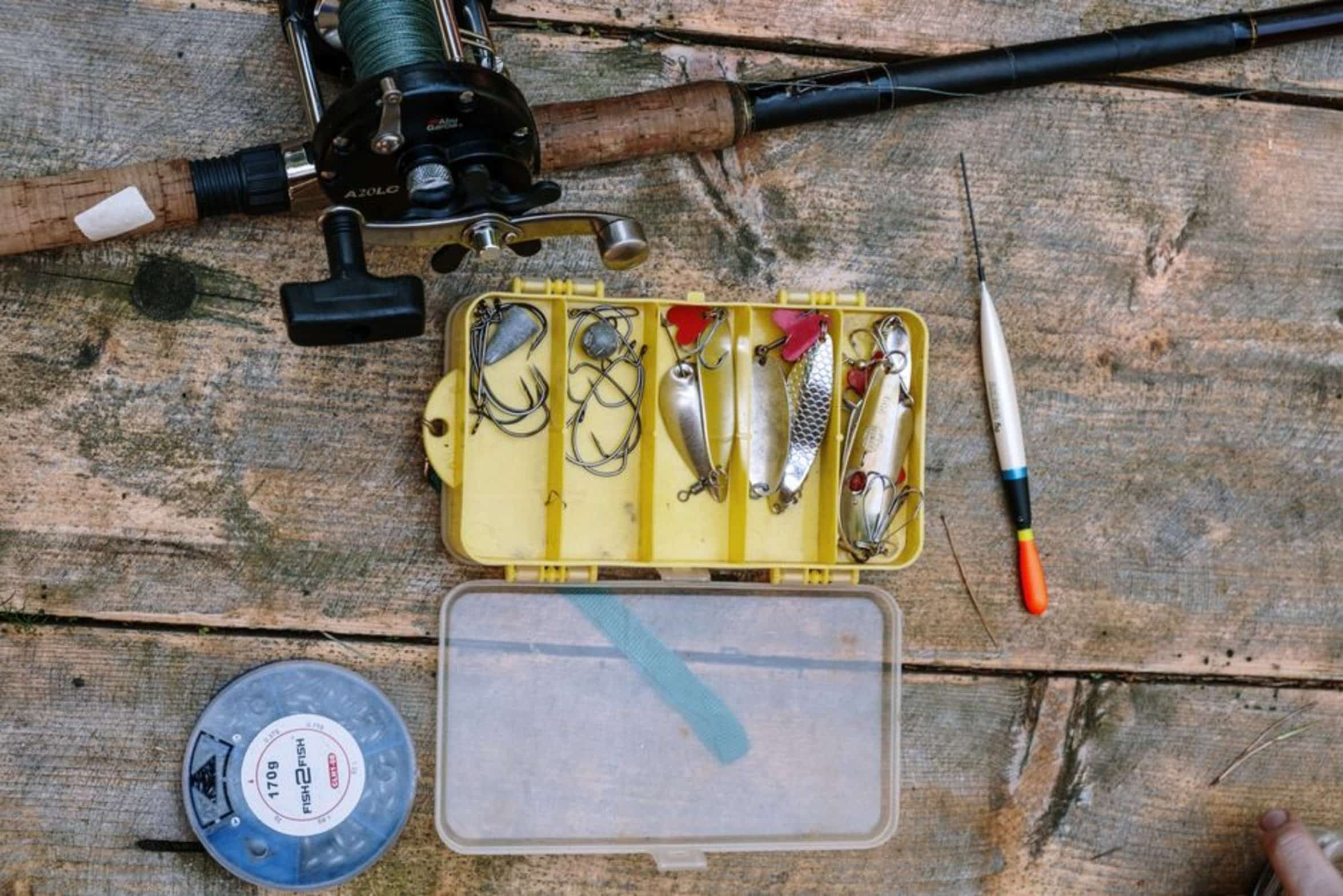 fishing license document fishing license document