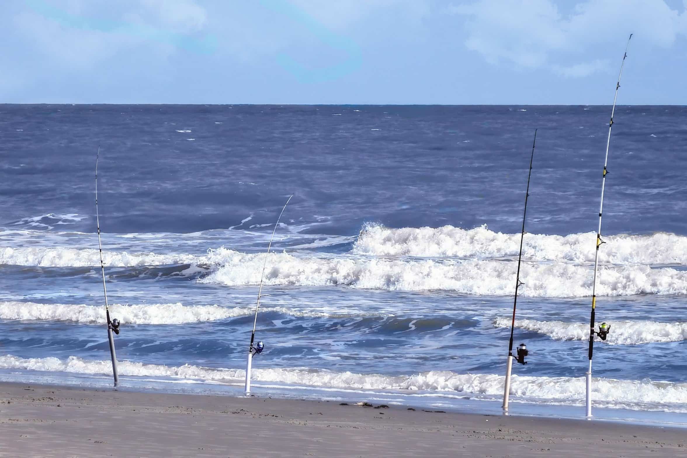 fishing line in water
