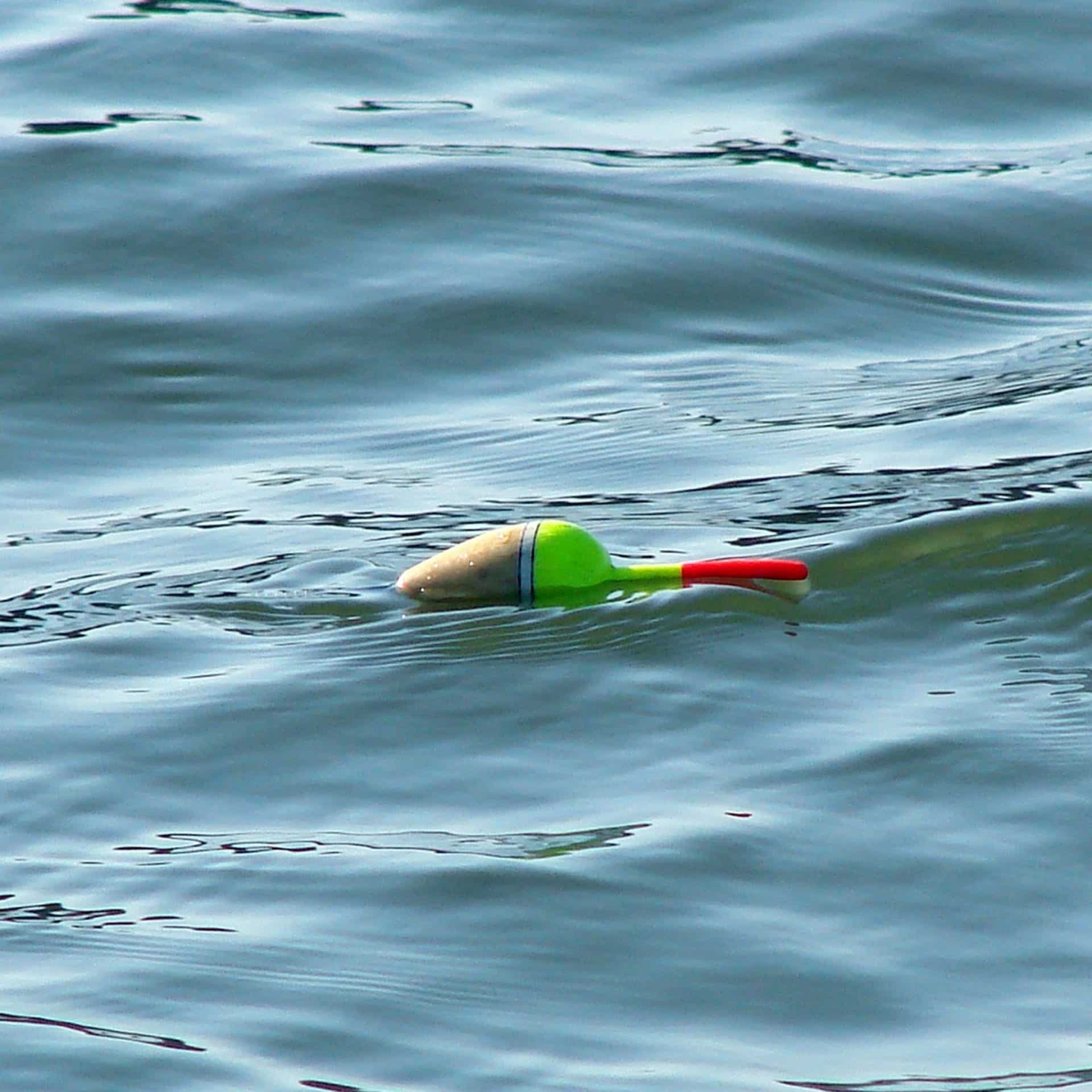fishing line water surface