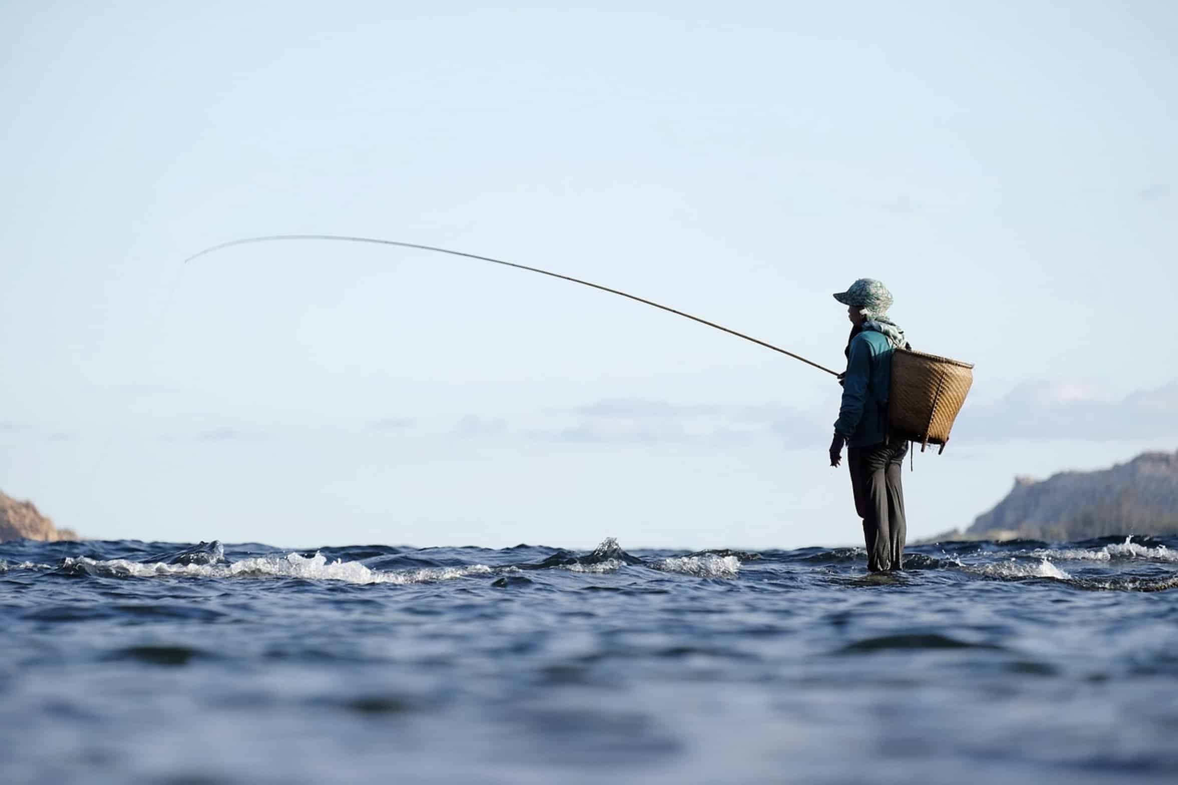 fishing rod tip close up fishing rod tip close up