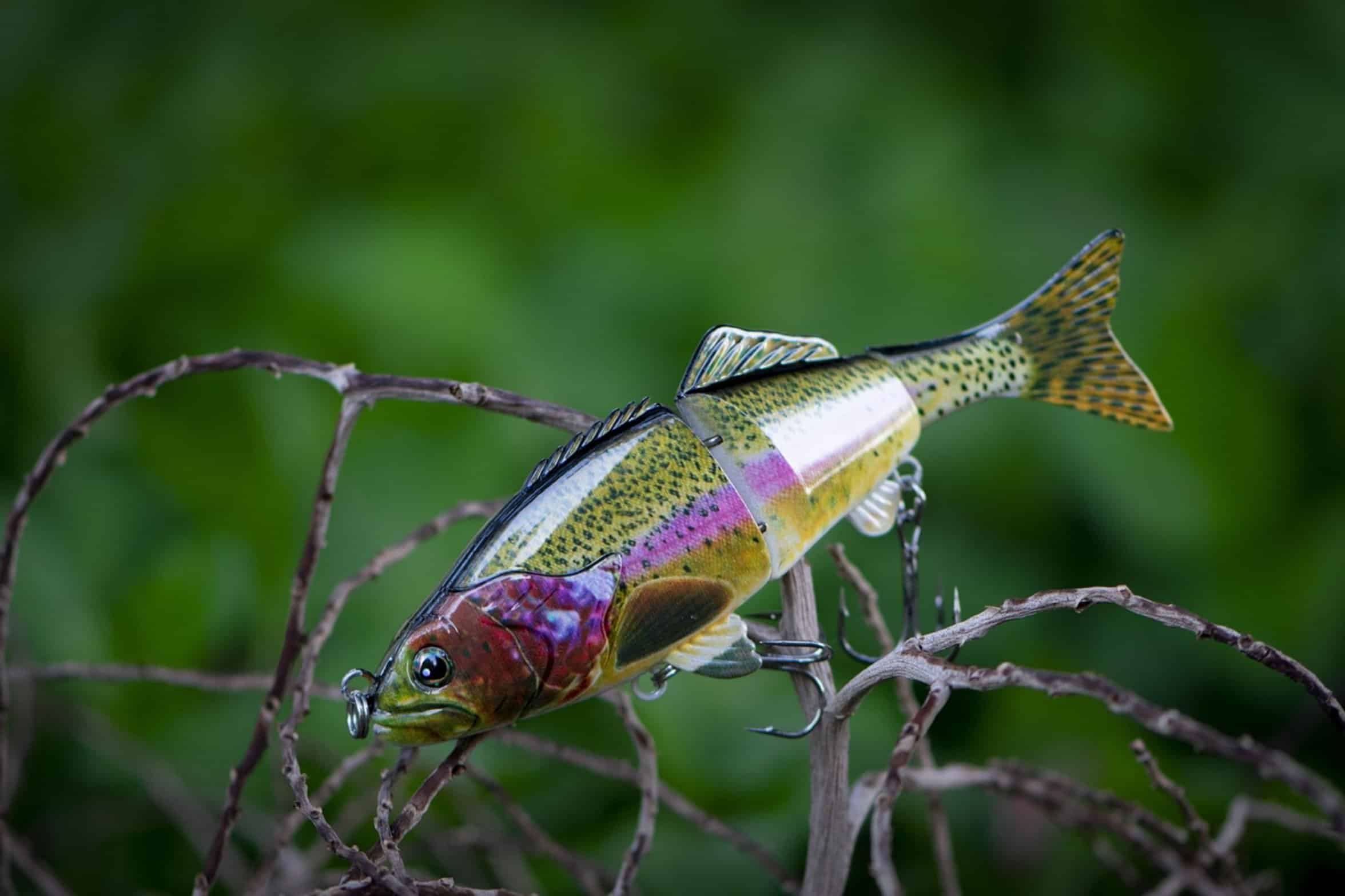 fishing swimbait lure close up fishing swimbait lure close up
