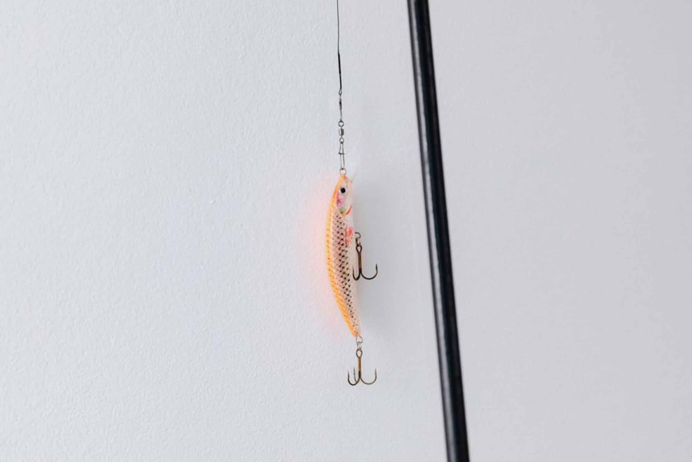 fishing worms on hook fishing worms on hook