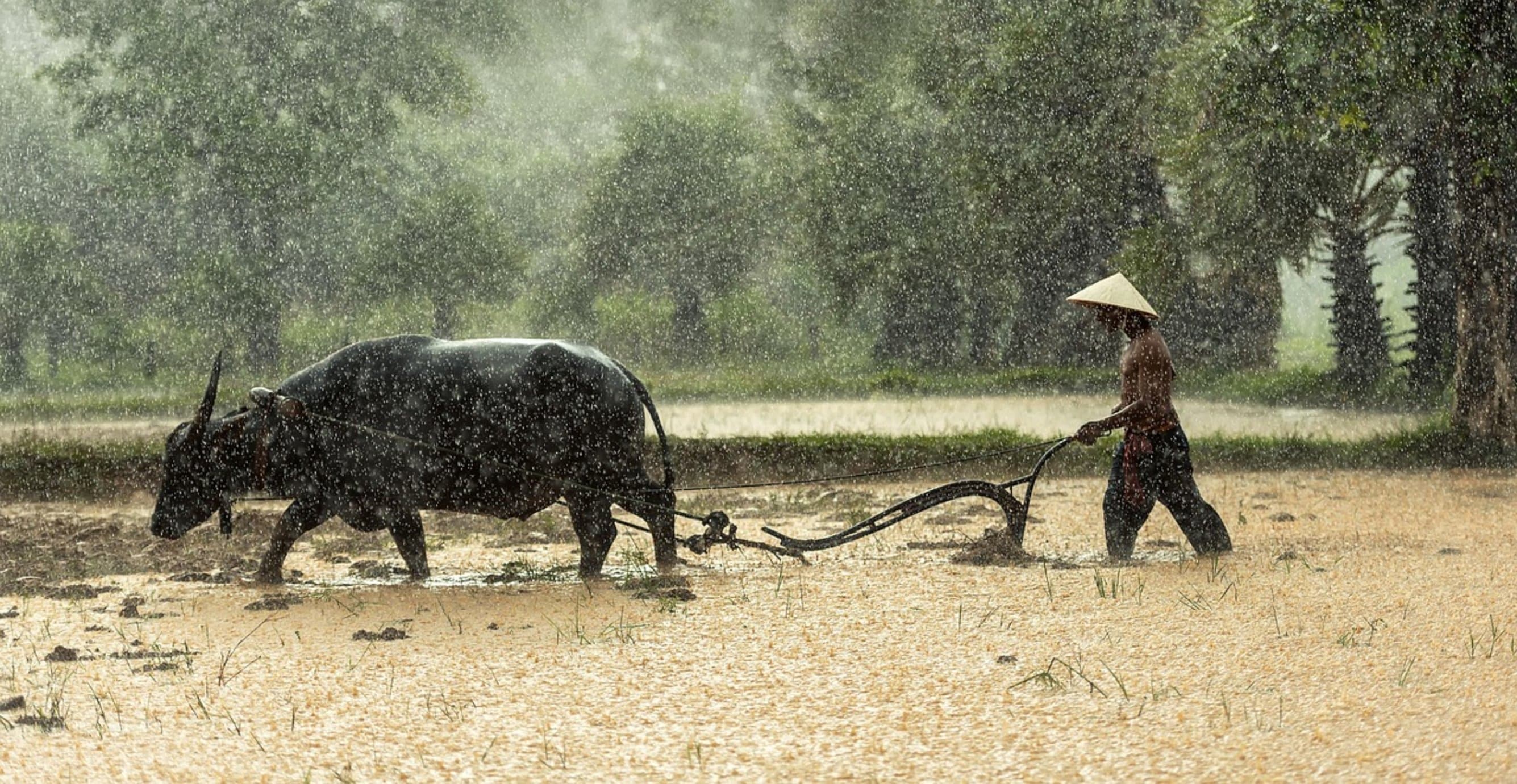 man wearing hat rain man wearing hat rain