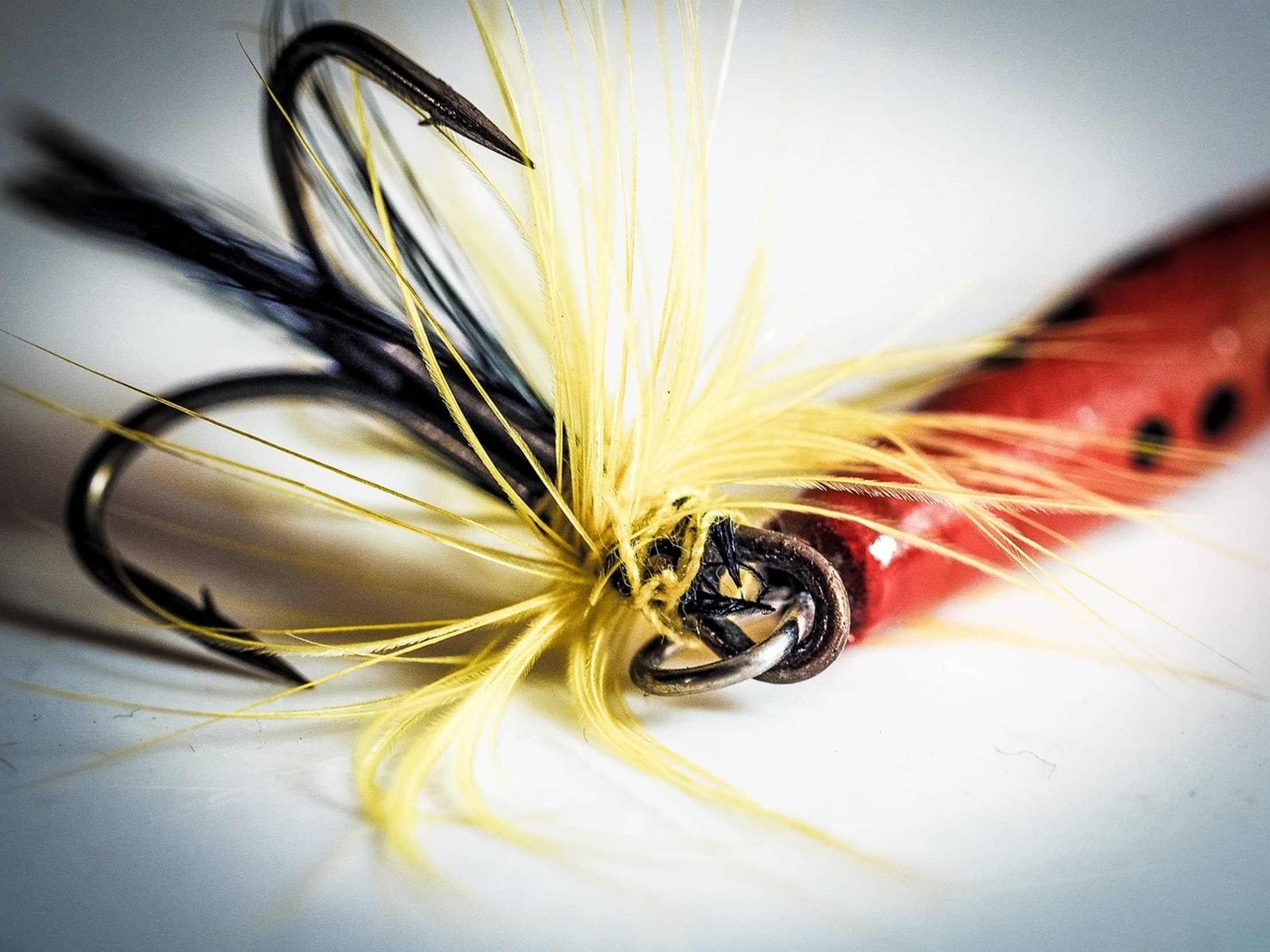 premium fishing hooks