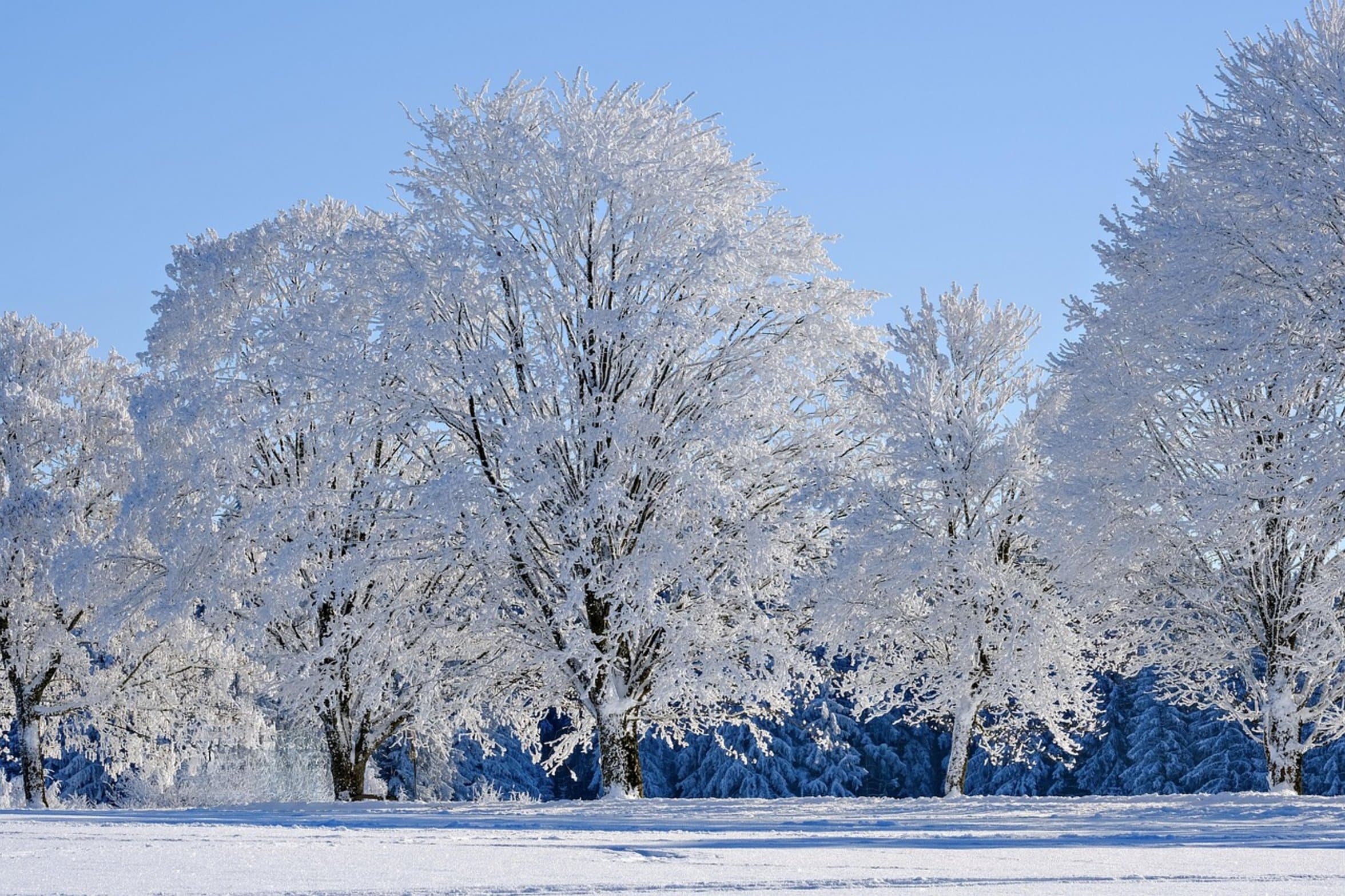 sunny winter lake bank sunny winter lake bank