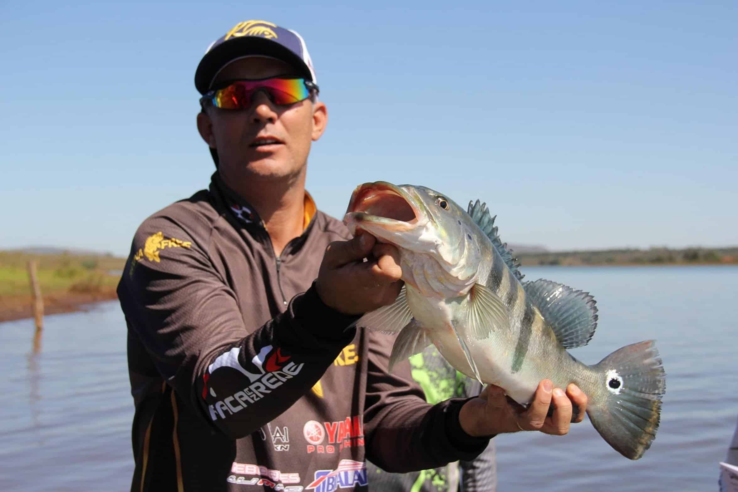 warmouth fish river warmouth fish river